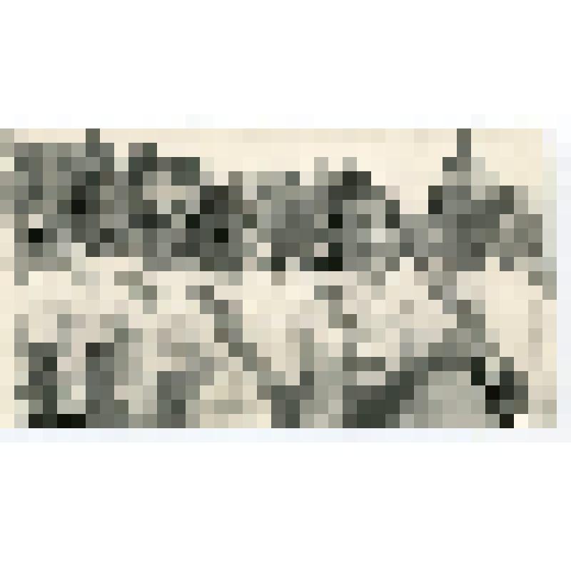 Фото групповое. На туристическом слете