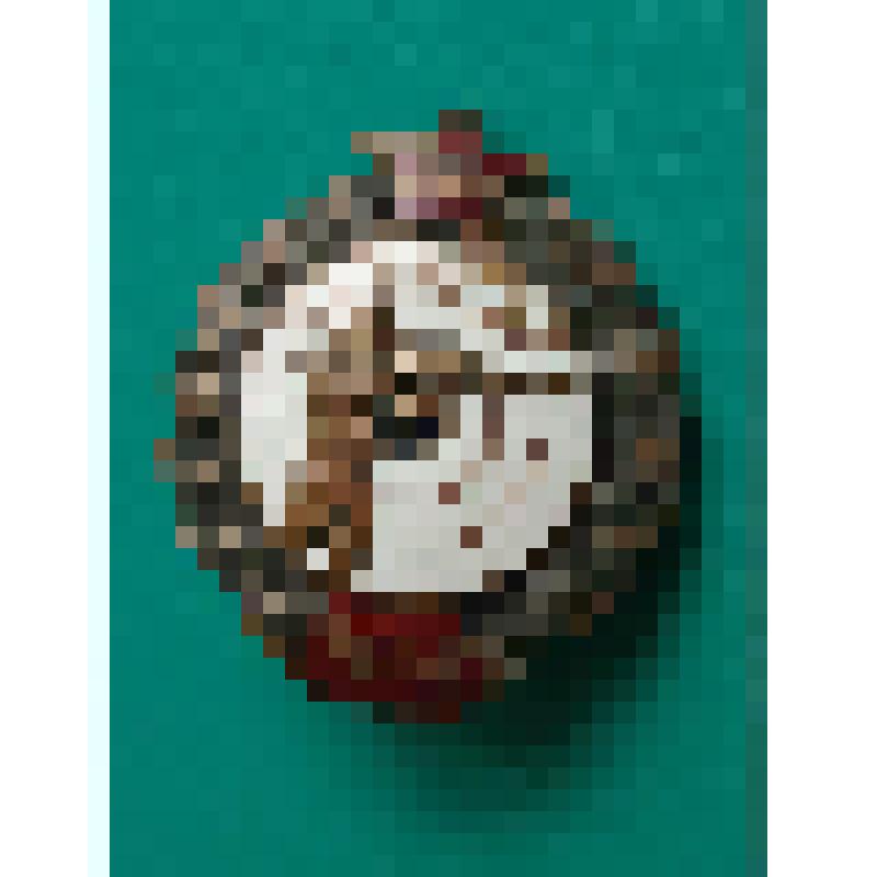Знак нагрудный "Снайпер РККА"