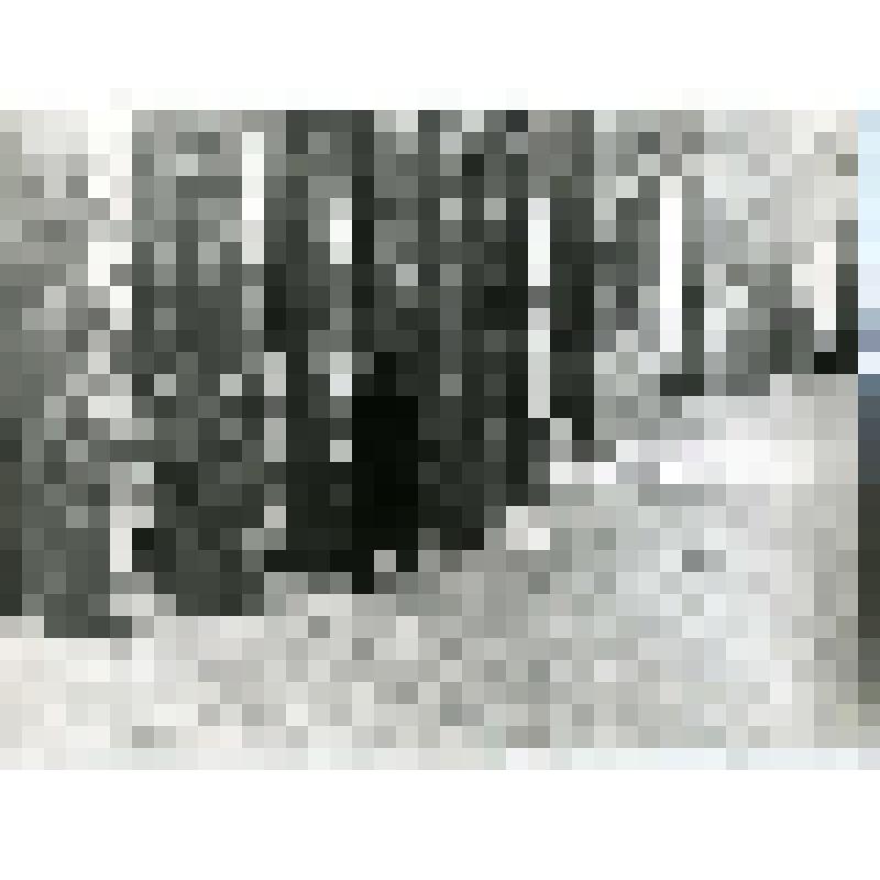Фотография. Андерсон Э.П. Пос. Ильинский