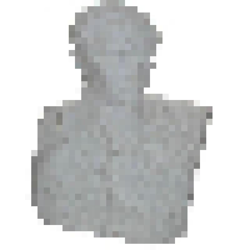 Скульптура. Лермонтов Михаил Юрьевич