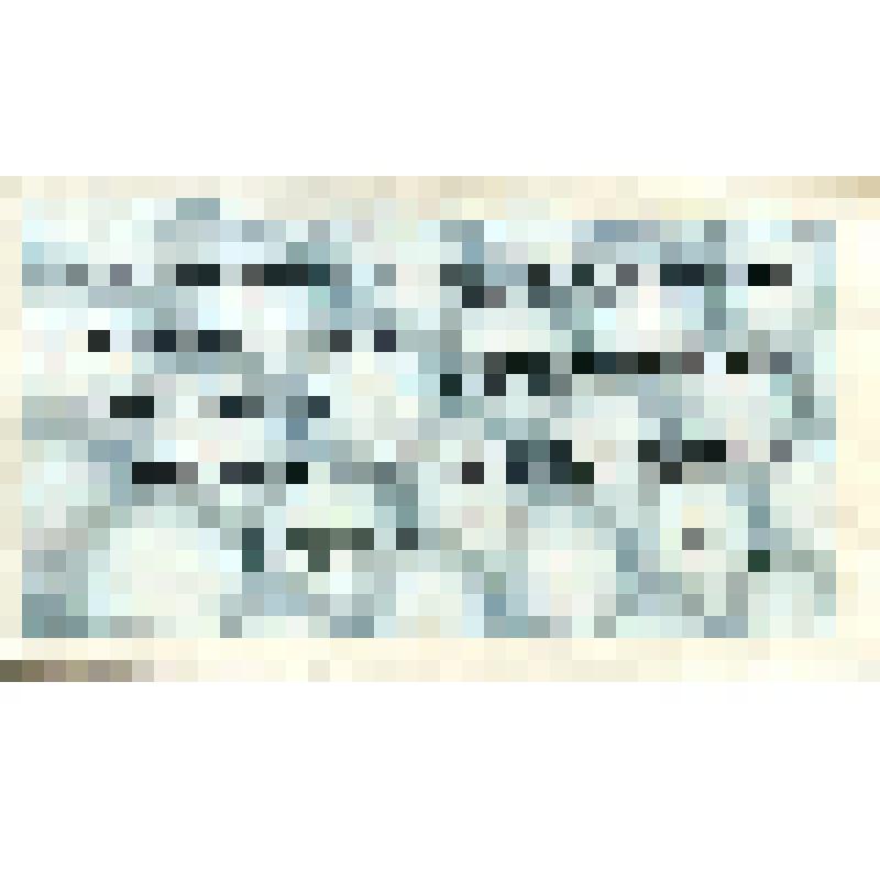 Билет лотерейный денежно-вещевой лотереи Министерства финансов Казахской  ССР, выпуск третий ,  № 170 серия 50593.Разряд 03