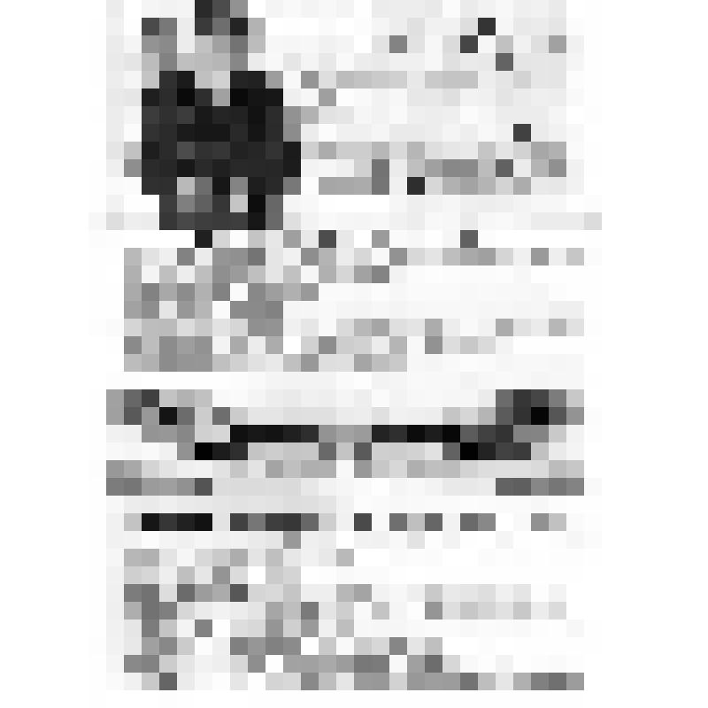 Документ. "Этот город мое счастье, моя боль, моя судьба"