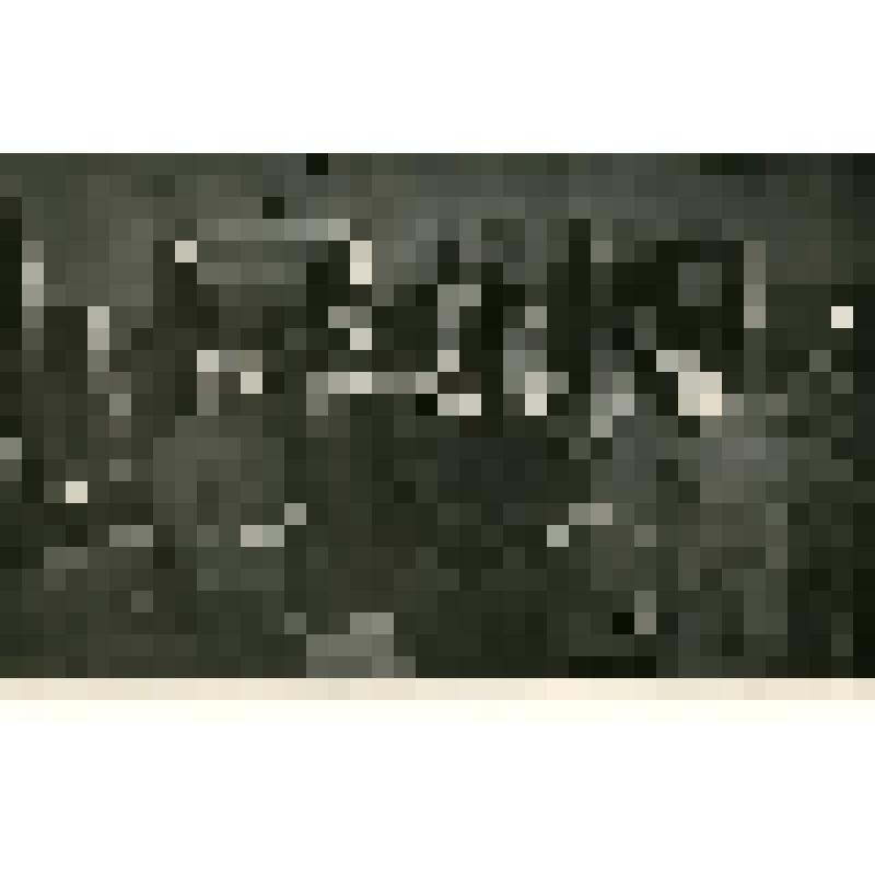 Бригада ком. труда завода "Ташсельмаш"