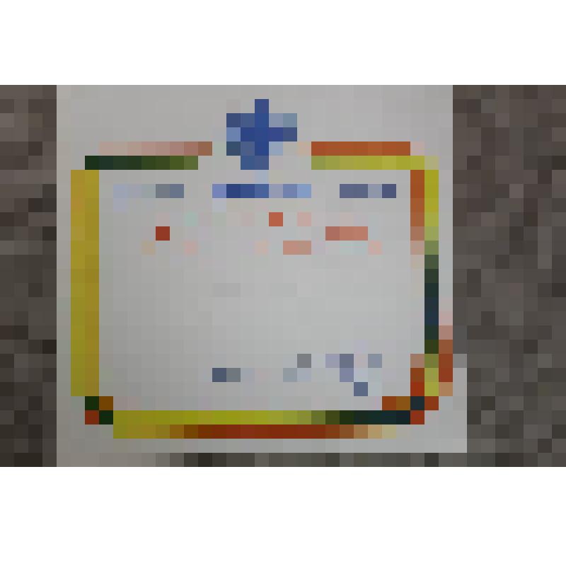 Диплом Международного Велосоюза "Пелетон" Лукшиной М. Д.. Чемпионка в категории универсал