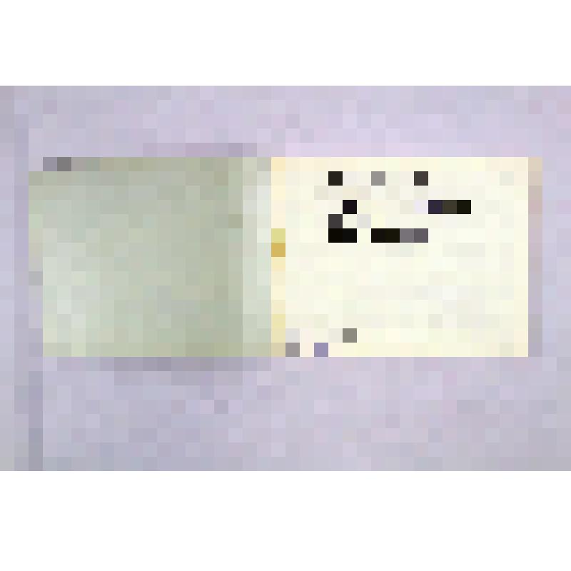 Книга. Кулмый Я. Народный художник Г. Имашева