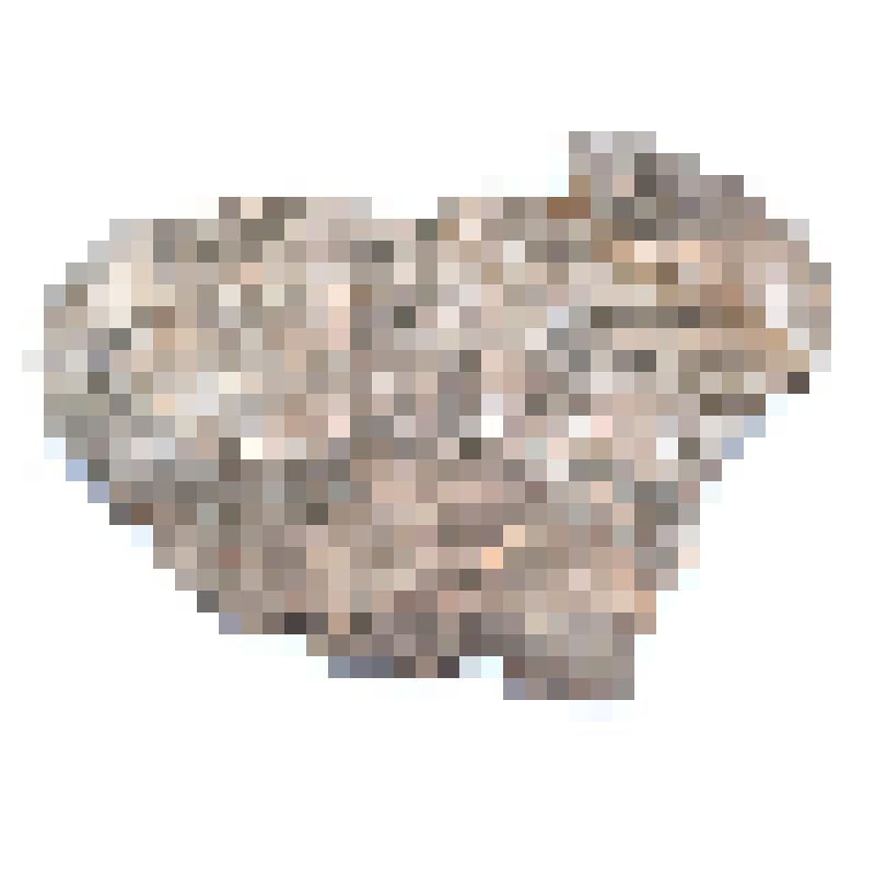 Сосуд (фрагмент)