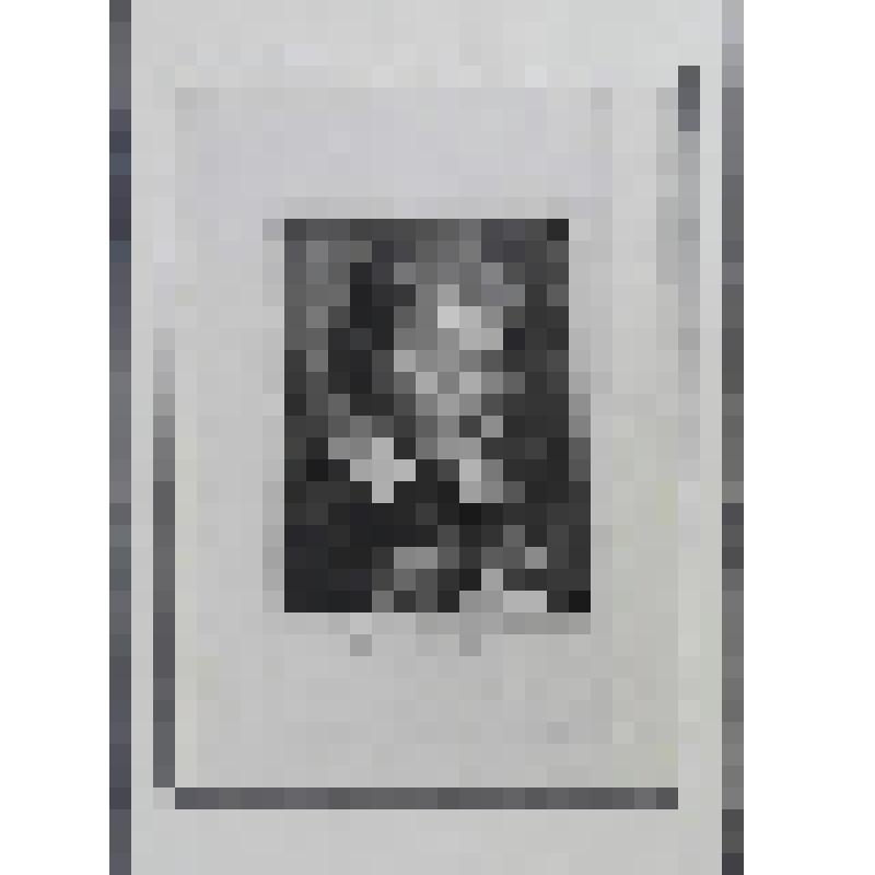 Портрет П.П.Рубенса