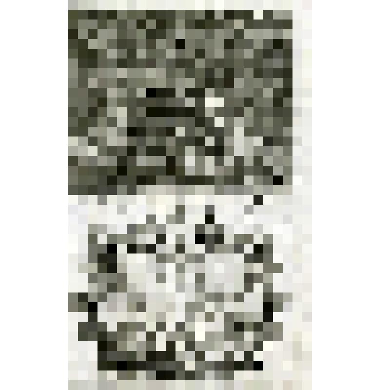 Офорт. Лист 104. Второй пир царя. Исполнение царского обета: умерщвление враждебных иудеям (Есф. 7, 9)