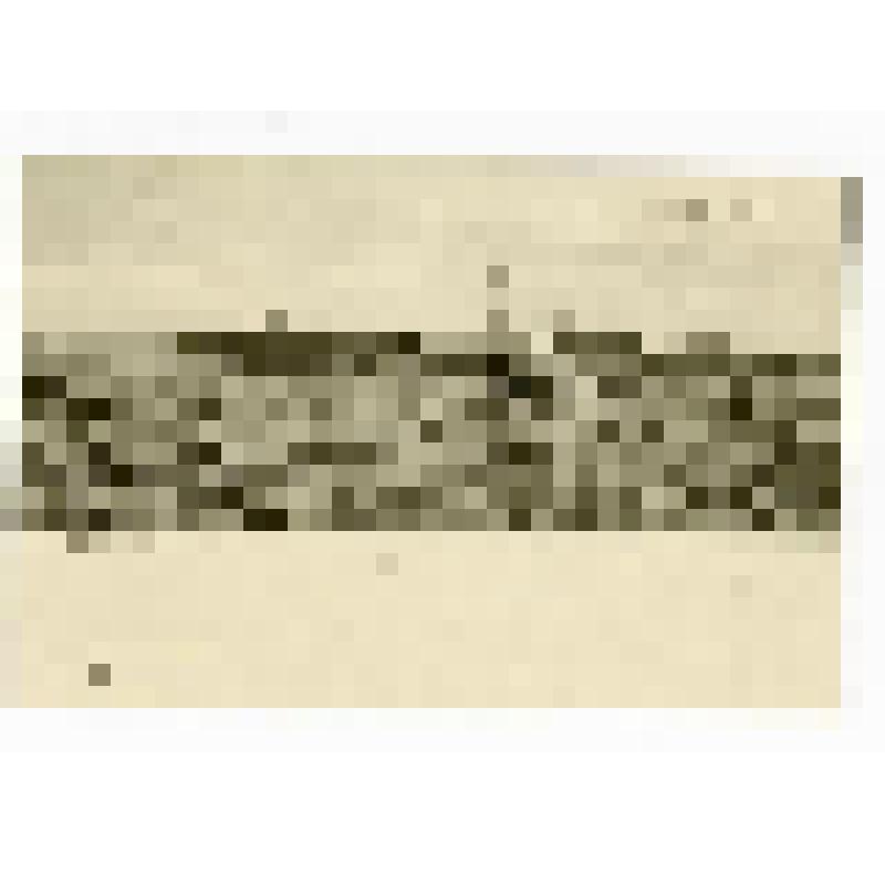 Петропавловская крепость. Заложена в 1703 году. г. Санкт-Петербург (Ленинград). Петропавловская крепость. Перспективный вид с Невы.. E.L. No 11