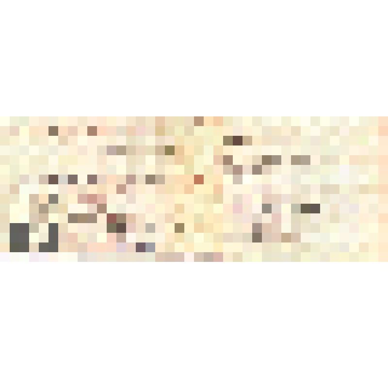 Удостоверение инвалида