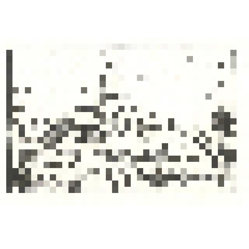 «Крепость Бип».1923.Серия иллюстраций к книге «Пейзажи Павловска в деревянных гравюрах».1923