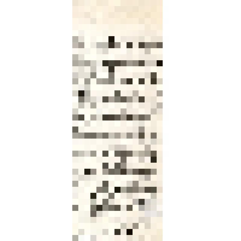 Российская социал-демократическая рабочая партия. Кавказский союз РСДРП. Тифлисский комитет РСДРП. Рабочим железнодорожных мастерских г. Тифлиса. Товарищи! (на груз.яз)