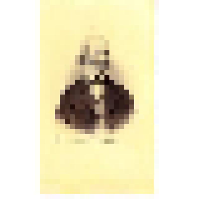 Фотография. Виллуан Юлий ?- отец В.Ю.Виллуана