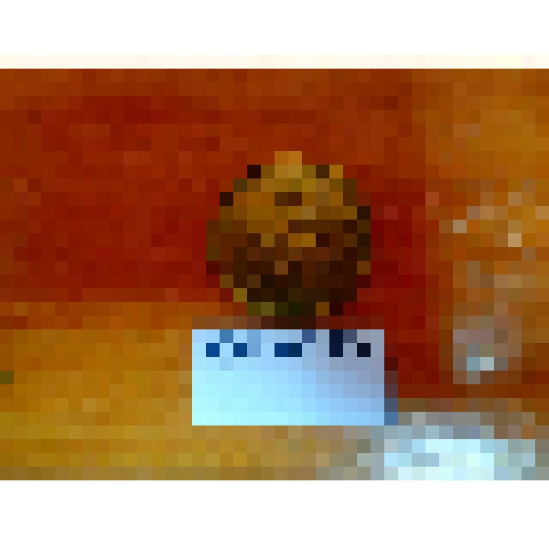 1. REPUBLIKA CESKOSLOVENSKA