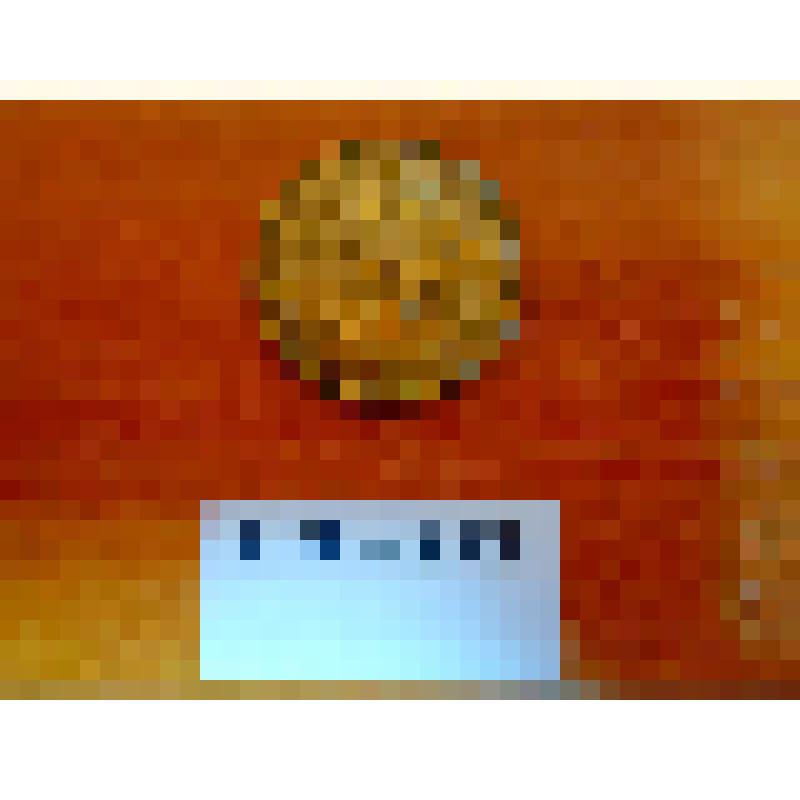 1. REPUBLIKA CESKOSLOVENSKA