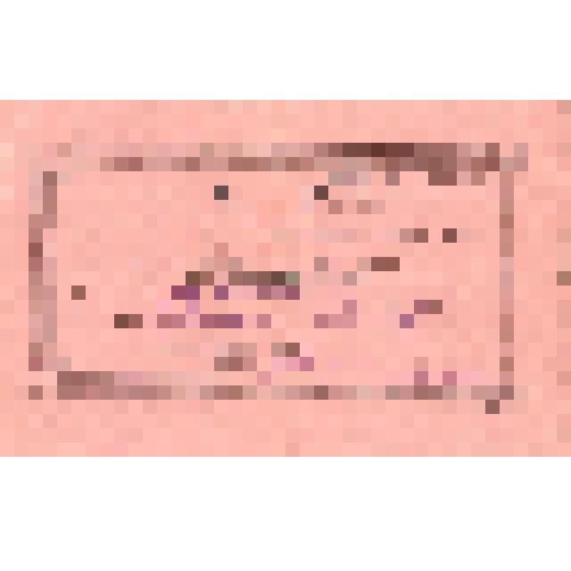 Билет № 44 на участие в 4-м Собрании Уполномоченных Серебряковского района союза потребительских общест. от 20.03.1928г. Ерохина Д.Т. На обр. стороне - повестка дня и регламент