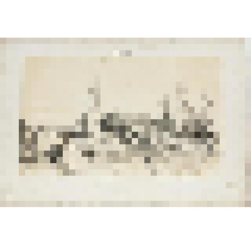 Литография. "Санкт-Петербург. Церковь Св. Николая Морского и канал Фонтанки."