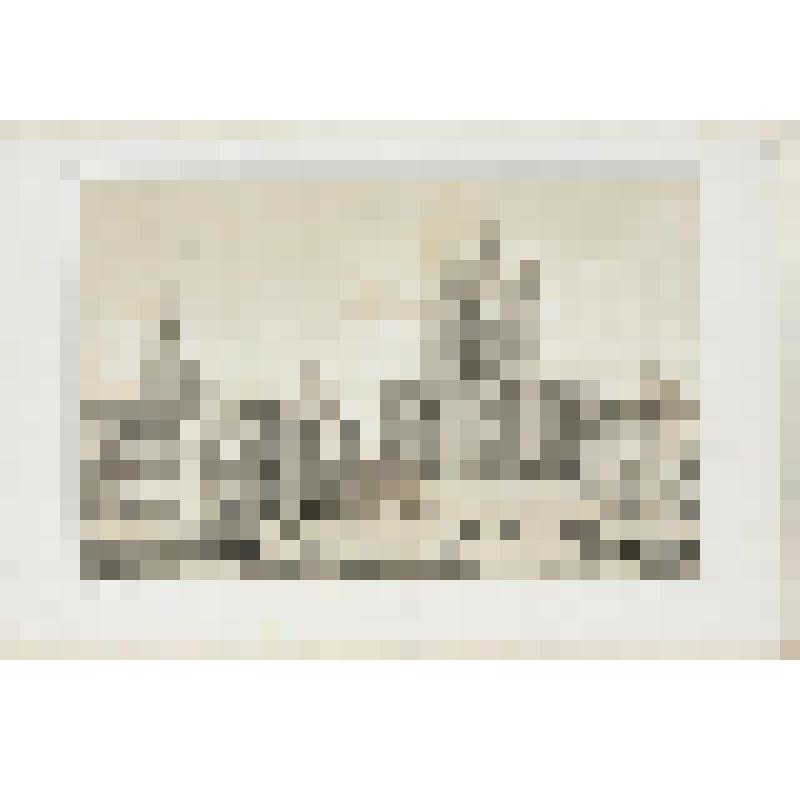 Литография. "Санкт-Петербург. Смольный монастырь. Вид от эспланады."