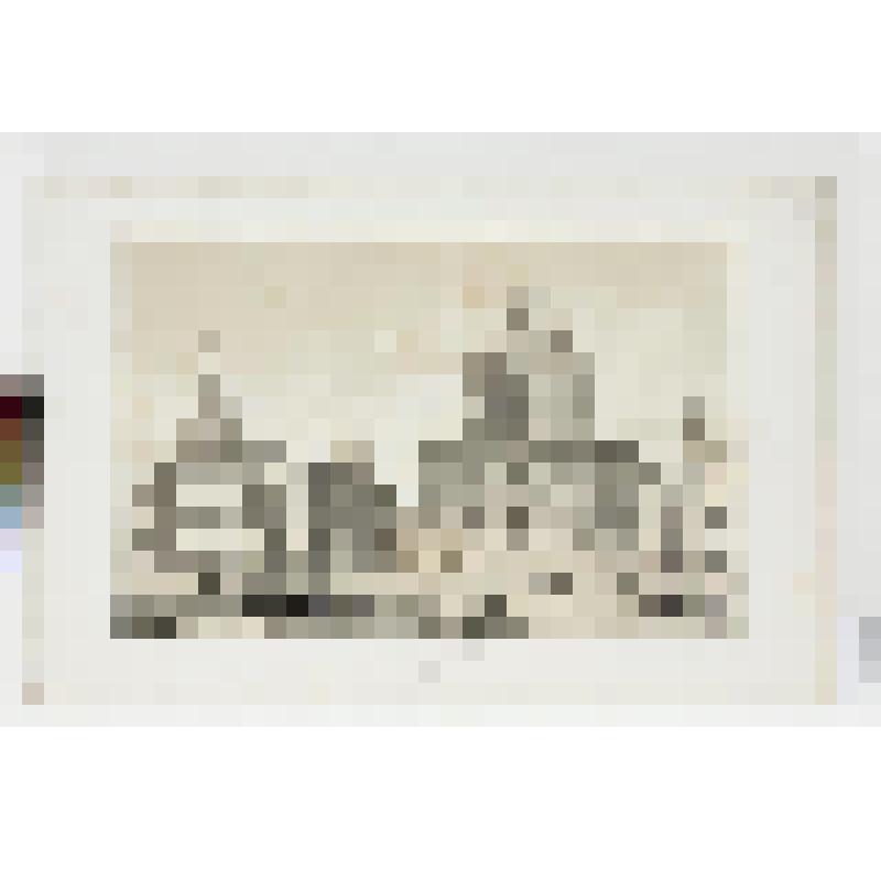 Литография. "Санкт-Петербург. Смольный монастырь. Вид от эспланады."