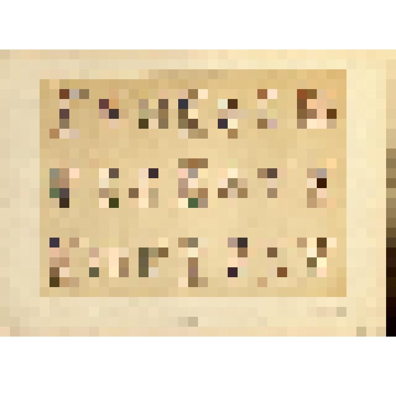 Лист XXVI (26). Русский орнамент XII-XIII вв. Из альбома «История русского орнамента. С X по XVI столетие. По древним рукописям»