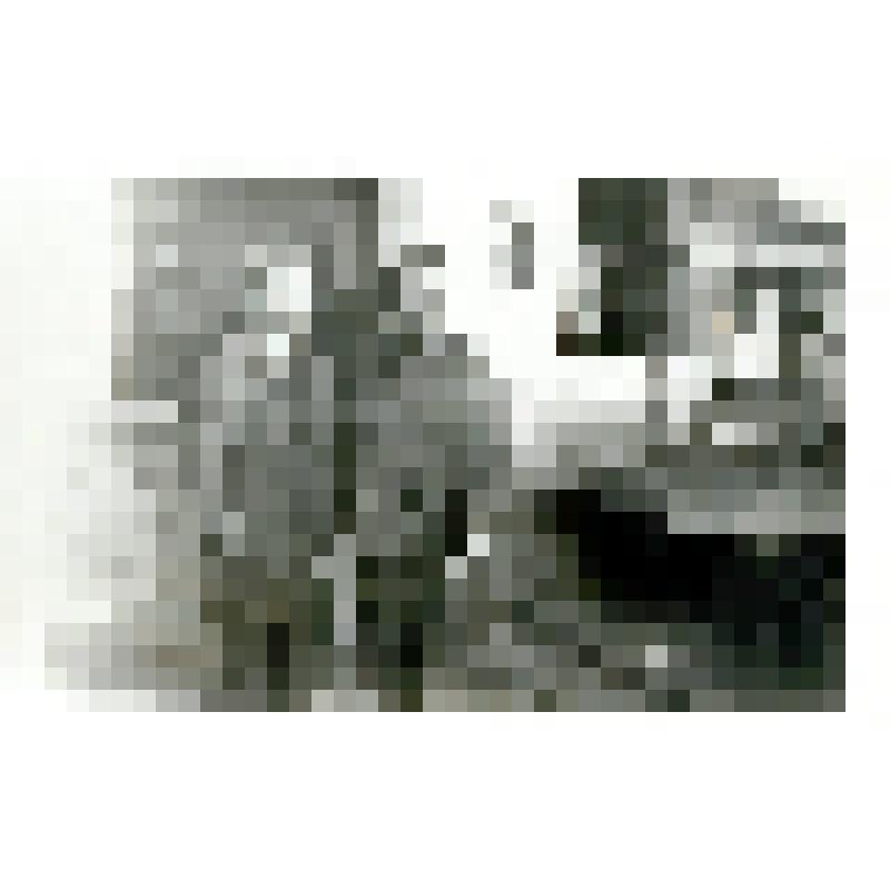 Фото ч/б "Лучшие сварщики ЦРММ"