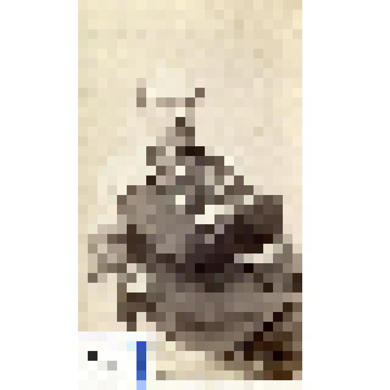 Фотография черно-белая. Фон Фуругельм Отто Васильевич