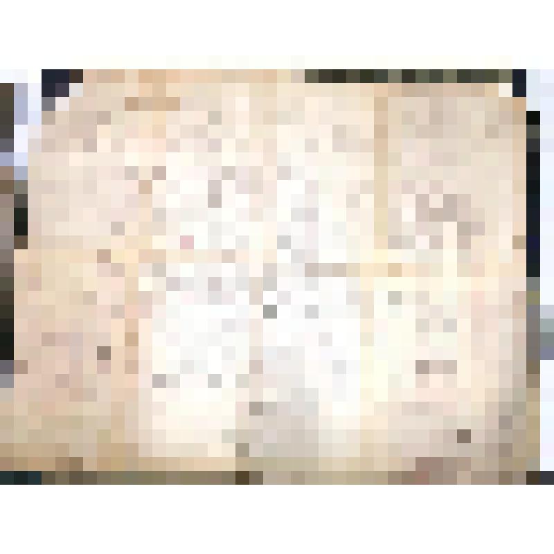 Жилое строительство для СПКЗ в г.Сталинграде. Проектное задание. Проект зеленой зоны и предзаводской площади. Вариант