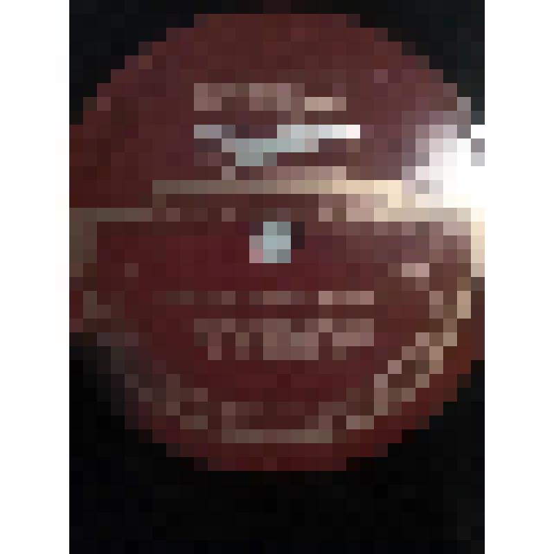 Грампластинка. 1. Сцена Лопахина из III акта пьесы А. Чехова "Вишневый сад". Исполняют: Л. Леонидов, оркестр МХАТ СССР п/у Б. Изралевского. 2. Речь Дмитрия на суде из романа Ф. Достоевского "Братья Карамазовы". Исполняет Л. Леонидов. "Вишневый сад"; "Брат