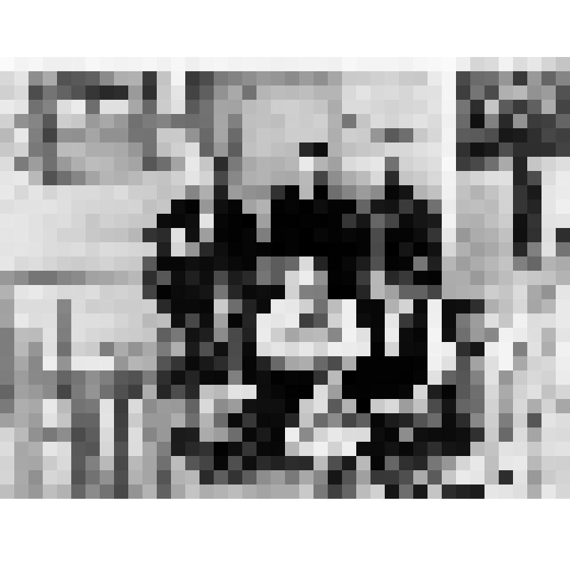 Семья Тращенко Петра Федоровича