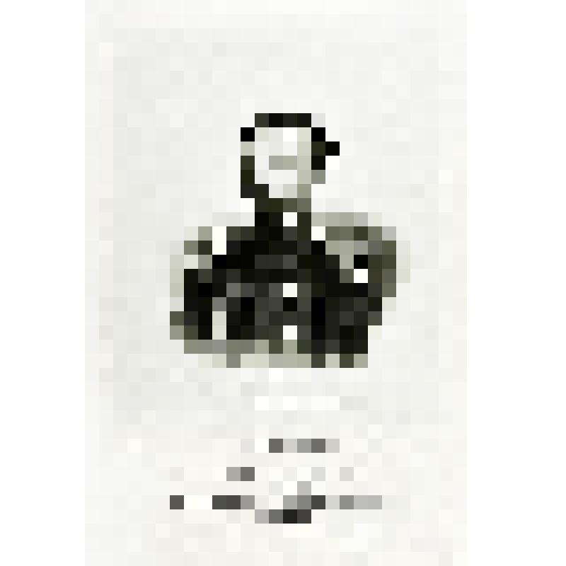 Портрет. Платон Александрович Воейков. Из альбома "Портреты лиц, отличившихся заслугами и командовавших действующими частями в войне 1853-1856 гг."