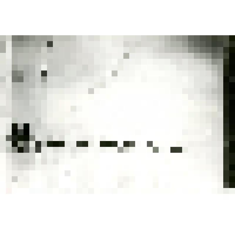 Фотокопия со стеклянных негативов. Собачья нарта с двумя мужчинами