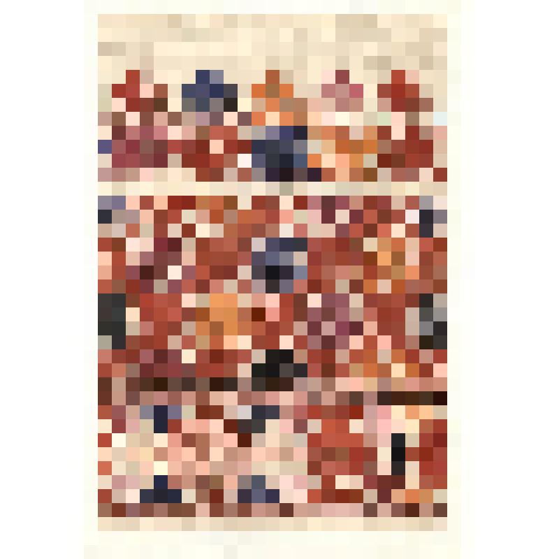 Зарисовка подола. Из альбома "Русское народное ткачество Новгородской и Псковской области"