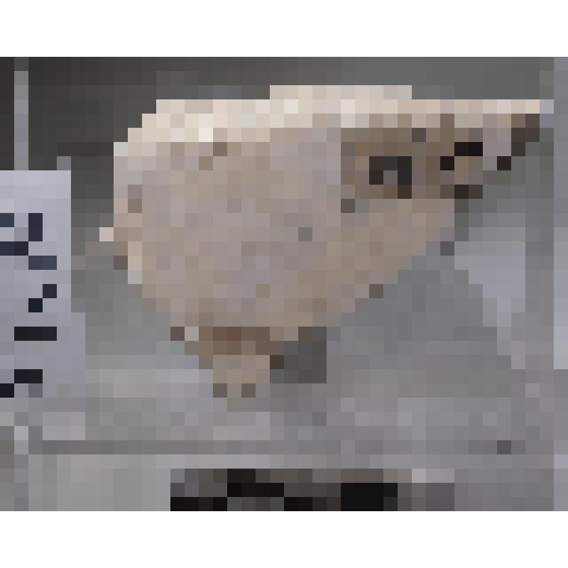 Кусок белого мрамора со светло-серыми прожилками