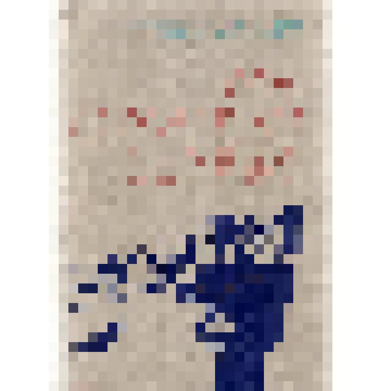 Книга. Г.В.Соколов «Мы с Малой земли».
СССР, Москва, изд-во «Советская Россия», 1979 г., 384 с