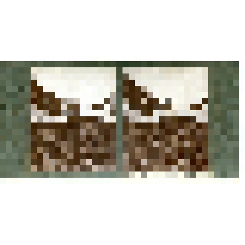 Карточка для стереоскопа «Верхняя часть Тебердинского ледника с боковой ветвью и мореной». Из коллекции «Кавказ» с видами природы Западного Кавказа, серии 2-№42. Автор фото Н.Л. Минервин