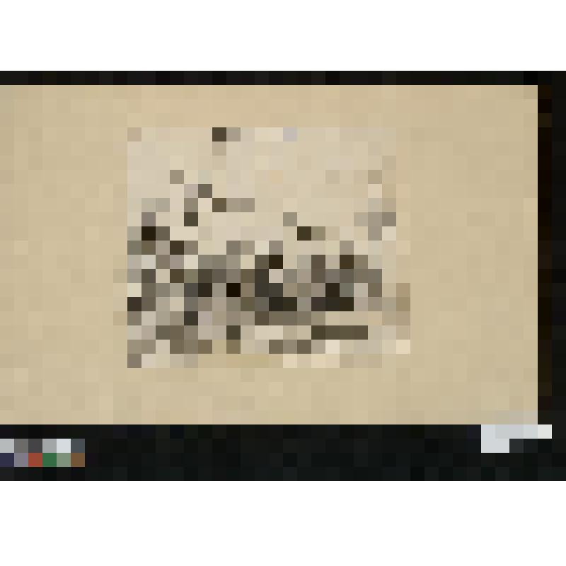 Листы из сюиты воспроизведений выполненных в XIX веке с карикатур XVIII века времени Французской революции. Кортеж церковников - "Пилигримы св. Якова" "Les Pelerins de Saint Jacques"