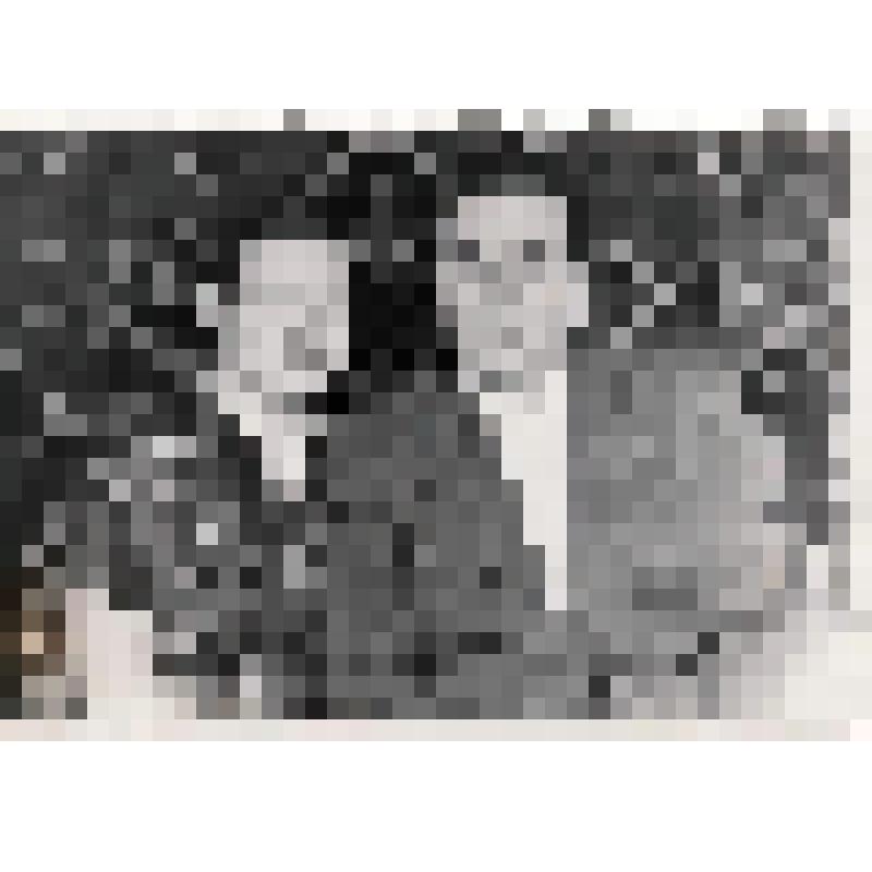 Фотография групповая. Туполев Н.В. с женой Лидией Николаевной, 1970-е гг