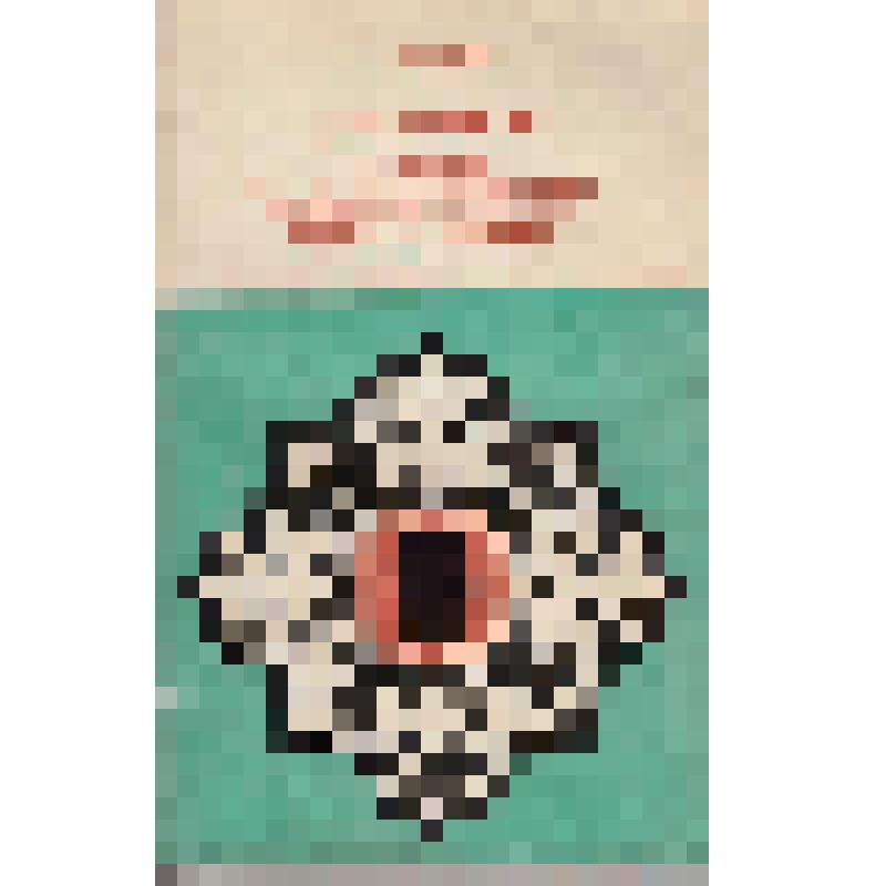 Книга. Өбүгэлэрбит уонна үөлээннээхтэрбит суолларынан. Якутское книжное издательство, 1981 г