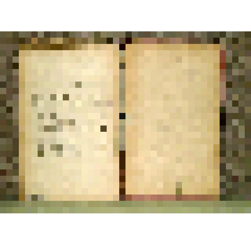 Книга "Партизаны"