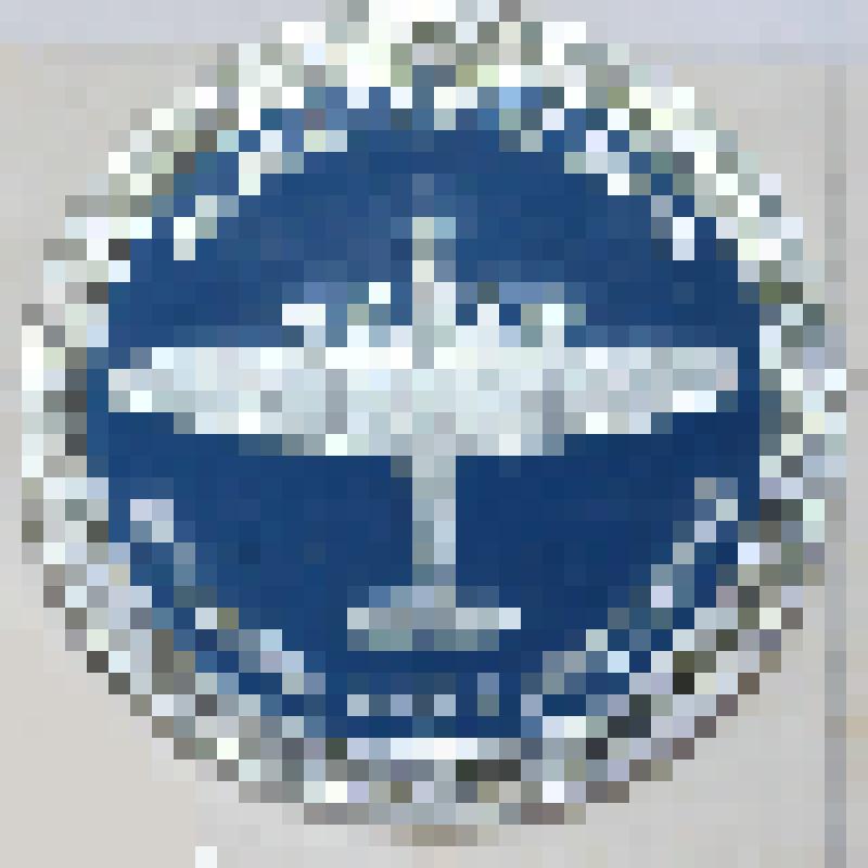 Значок «АНТ-14. 1931 г.»