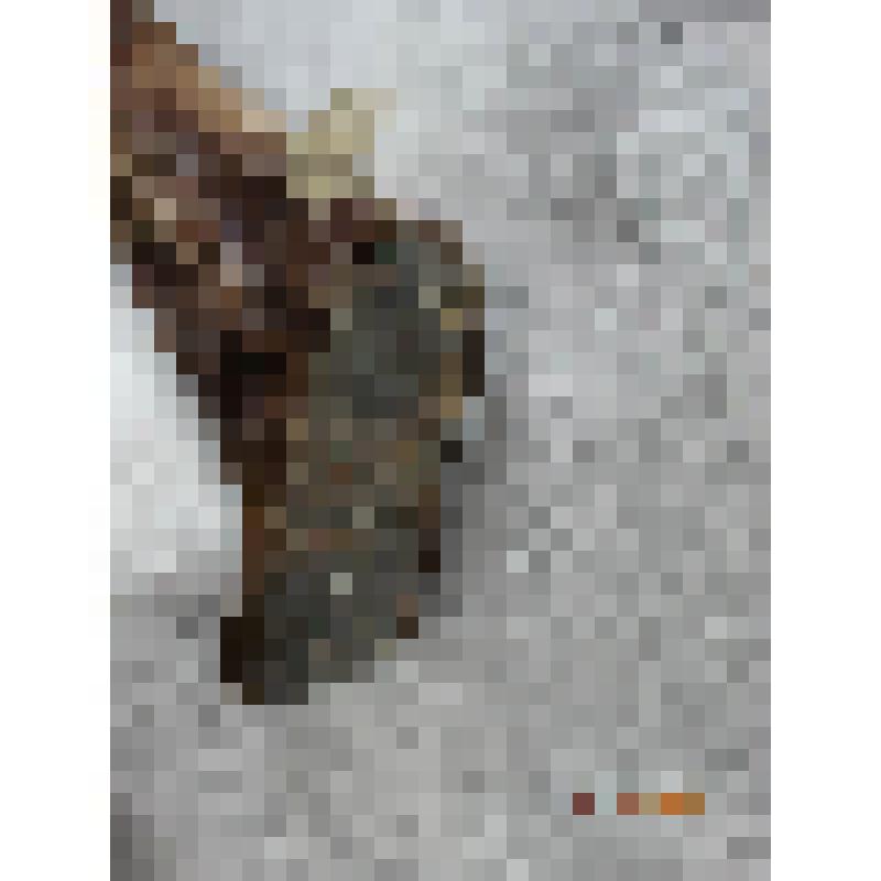 Унты (торбаса) из камуса с суконной оторочкой с вышивкой. Куруму