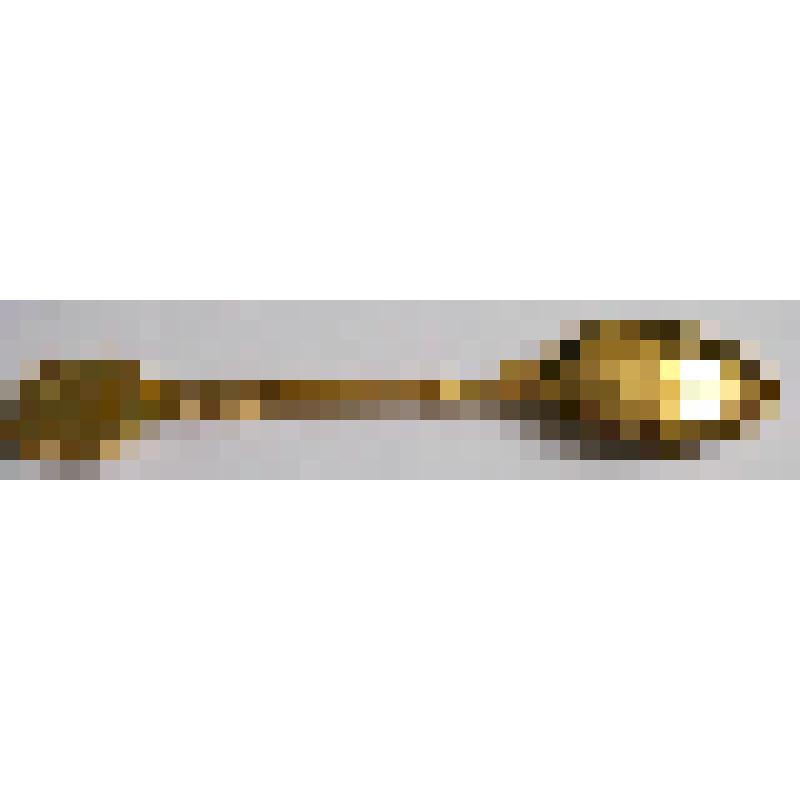 Ложка сувенирная "Байкал" из металла золотистого цвета, с цветными вставками в чаше и на конце черена