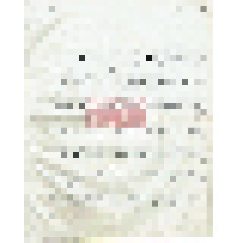 Письмо Д. А. Клеменца Мартьянову с сожалением, что каталог не подготовлен к печати и отношением к работе Естифеева, о поездке в Москву на международный конгресс