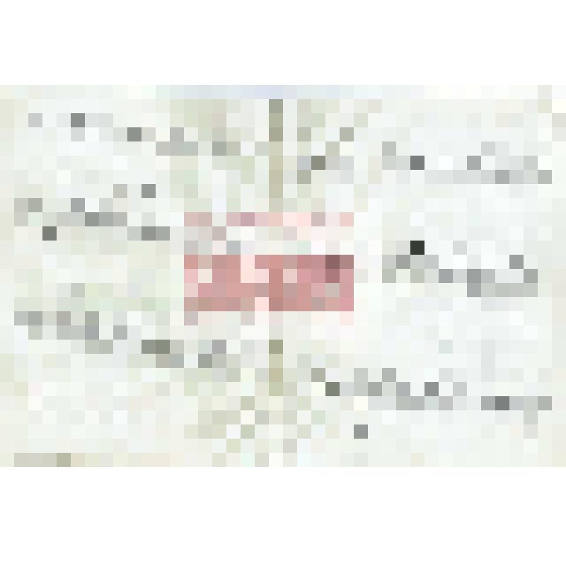 Письмо Д. А. Клеменца Мартьянову с сожалением, что каталог не подготовлен к печати и отношением к работе Естифеева, о поездке в Москву на международный конгресс