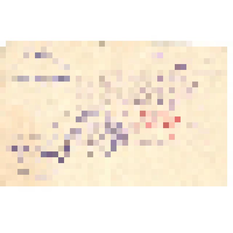 Документ. Удостоверение № 8360 Лапотышкина А.В., о службе зав. жилп/отделом на Чернореченском химическом заводе