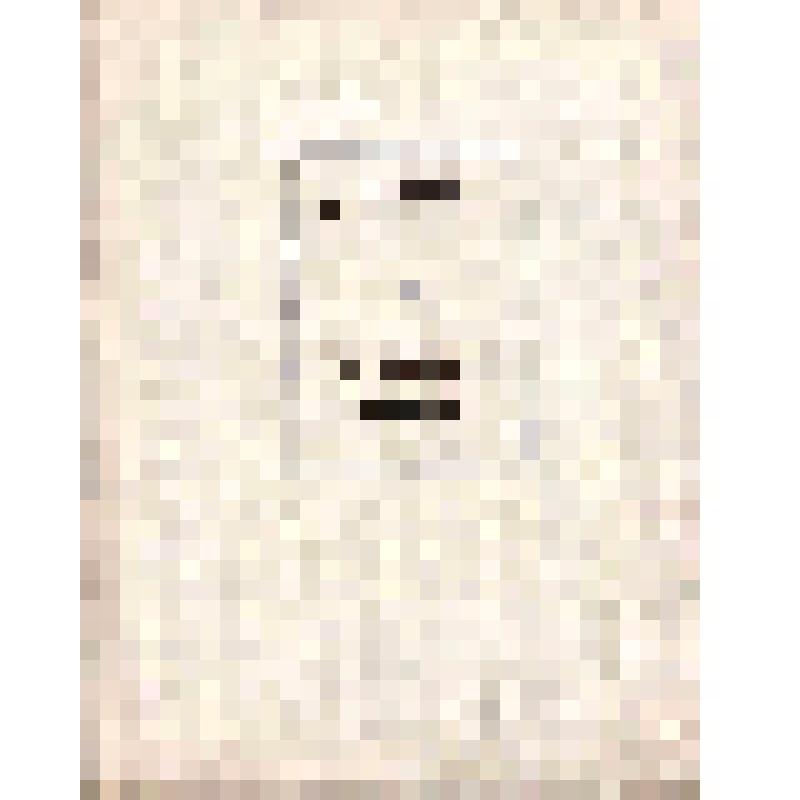 Книга. Чувство локтя. Выступления. Статьи. Рецензии