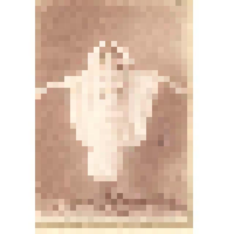 Портрет неизвестной молодой женщины