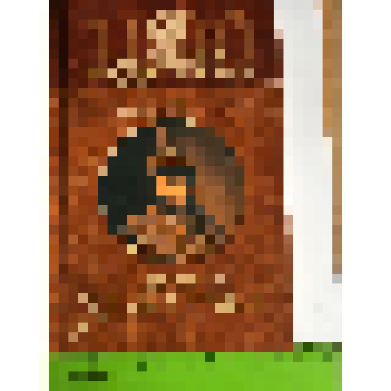 Книга. Коняев Н. Первые Романовы