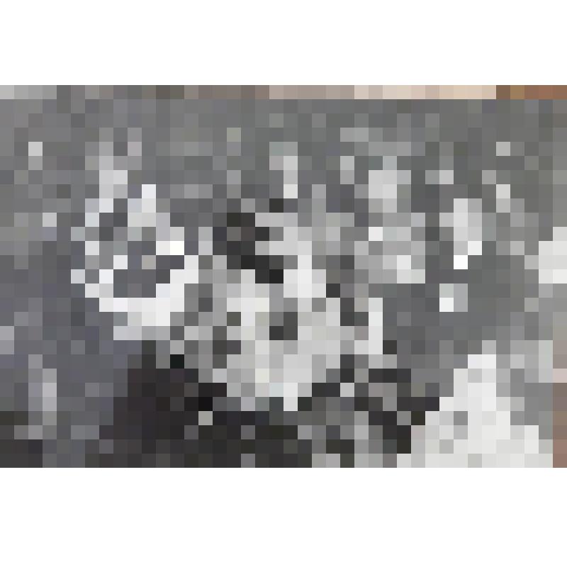 Фотография. Сюжетная. В концертном зале - ветераны Северо-Западного фронта