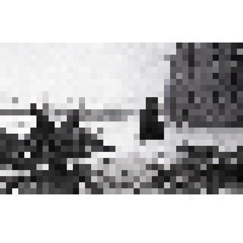 негатив черно-белый "Члены бригады каменщиков Александра Славгородского за работой"